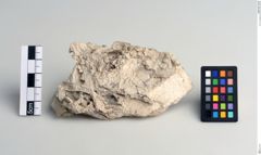 Foto von Bergkork (NHMW-MIN-Ab4029)